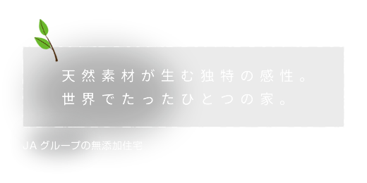 天然素材が生む独特の感性。世界でたったひとつの家。